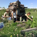 Kayben Farm Garden Tour